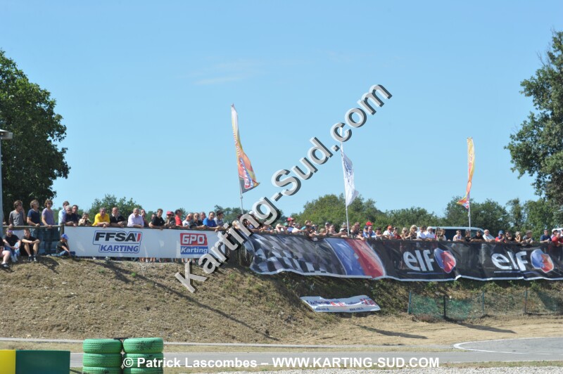 DSC_ (1750).JPG